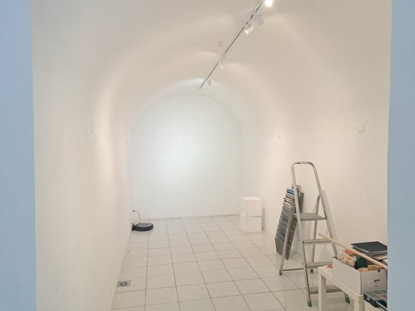 PLAINE 11, local commercial au centre de la ville 4