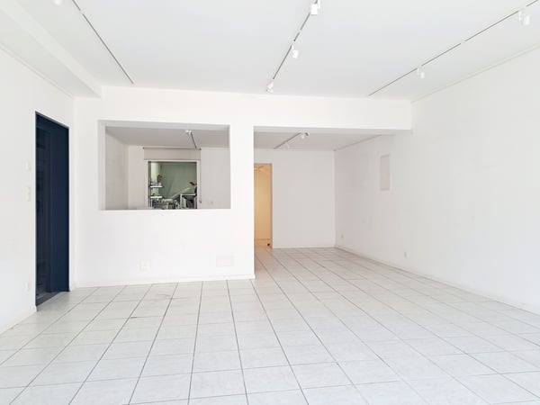 PLAINE 11, local commercial au centre de la ville 3