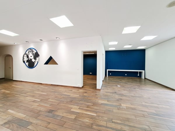 ROGER-DE-GUIMPS 5, LOCAL COMMERCIAL AU CENTRE-VILLE 3