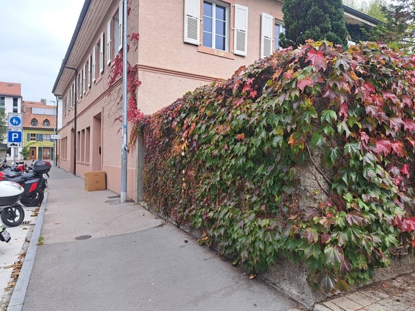 ROGER-DE-GUIMPS 5, LOCAL COMMERCIAL AU CENTRE-VILLE 11