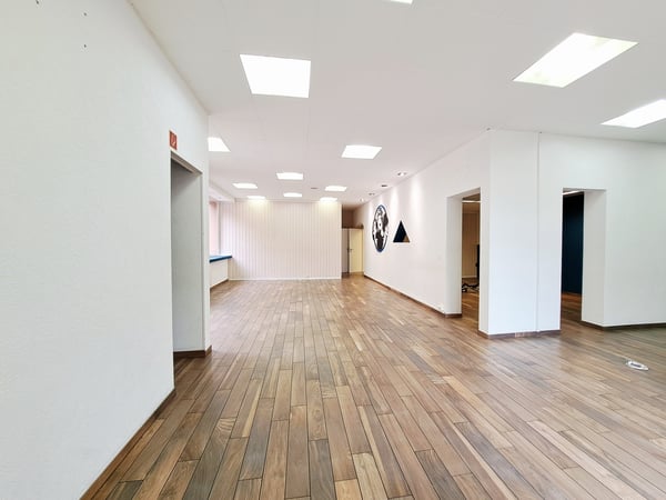 ROGER-DE-GUIMPS 5, LOCAL COMMERCIAL AU CENTRE-VILLE 2