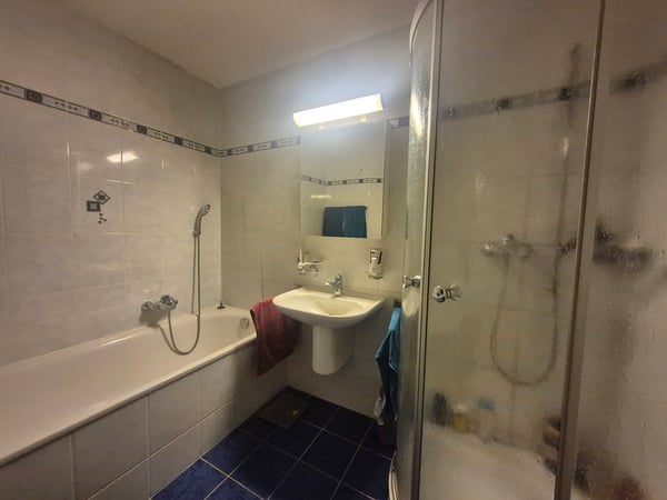 CENTRE-VILLE / MAGNIFIQUE APPARTEMENT 1.5 PCES 6