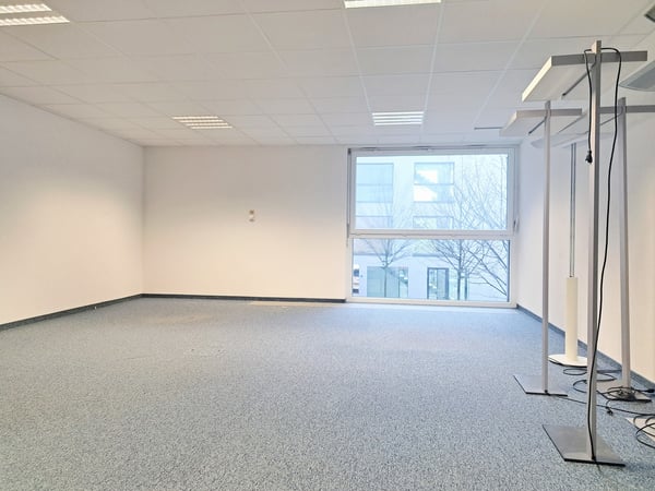 HALDIMAND 17, Local commercial au centre de la ville 5