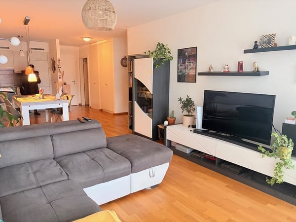 BEL APPARTEMENT 1.5PCES AVEC GRAND BALCON 6