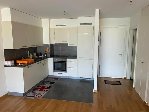 BEL APPARTEMENT 1.5PCES AVEC GRAND BALCON 3