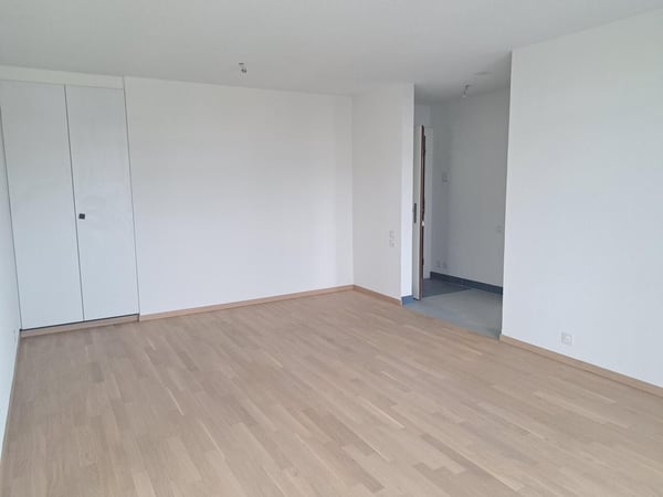 APPARTEMENT RENOVE AVEC BALCON ET ASCENSEUR 5