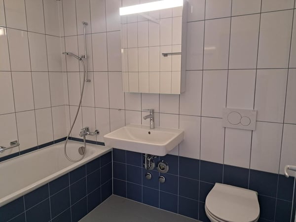 APPARTEMENT RENOVE AVEC BALCON ET ASCENSEUR 8