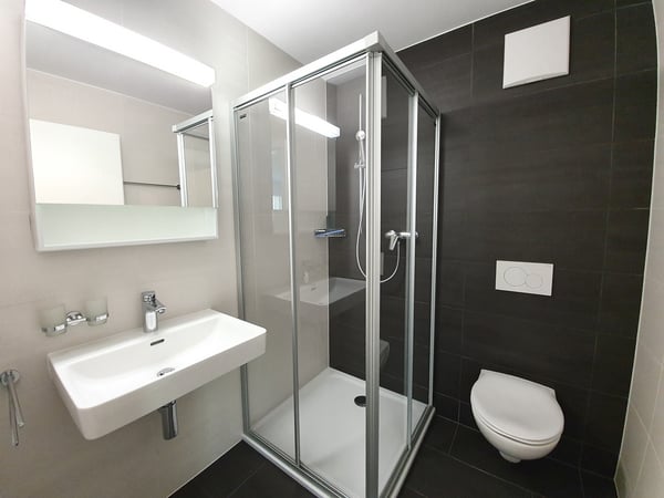 Charmant studio récent idéalement situé à Bex 3
