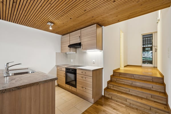 À louer magnifique loft en rez de chaussée à Vevey 2