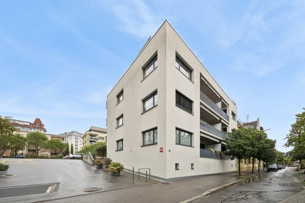 À louer magnifique loft en rez de chaussée à Vevey 10