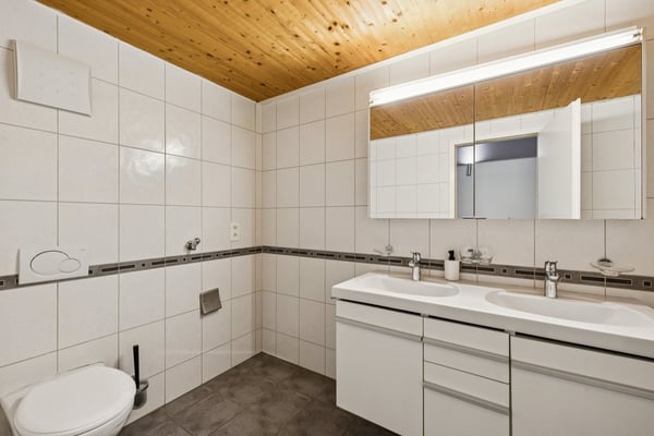 À louer magnifique loft en rez de chaussée à Vevey 8