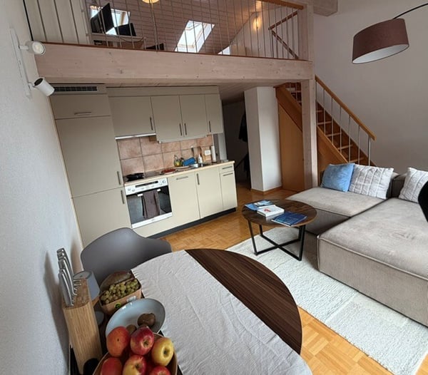 Magnifique appartement traversant de 2.5 pièces avec mezzanine 3