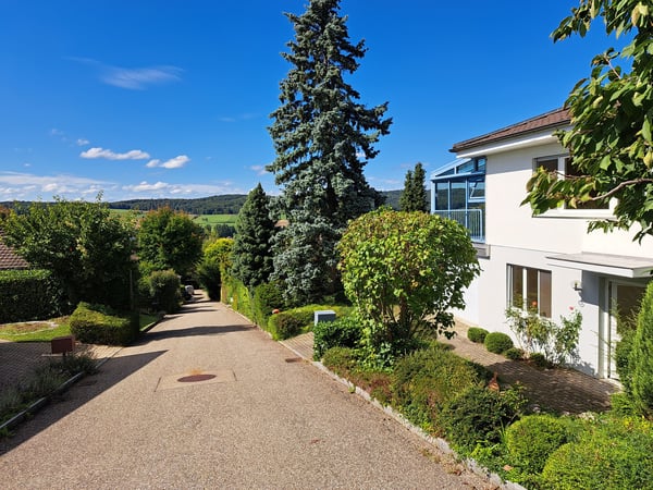 Einfamilienhaus 1.5 Zi mit fantastischer Aussicht und schönem Garten 2