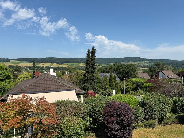 Einfamilienhaus 1.5 Zi mit fantastischer Aussicht und schönem Garten 13