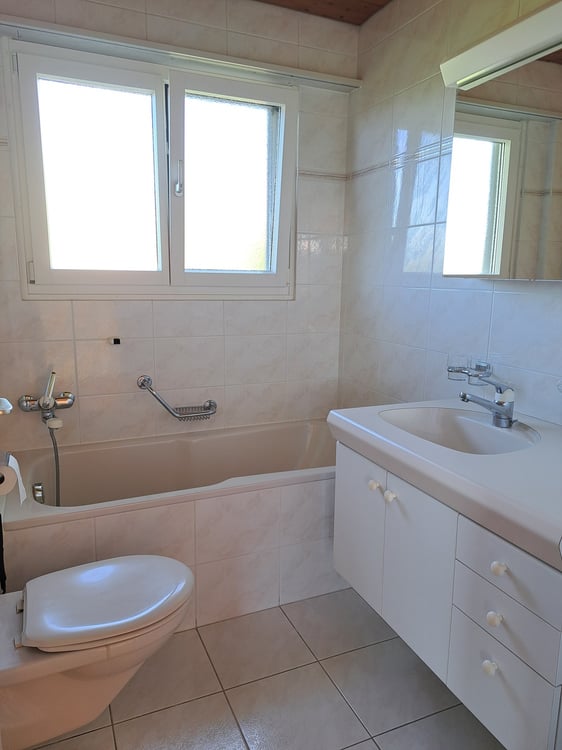 Einfamilienhaus 1.5 Zi mit fantastischer Aussicht und schönem Garten 8