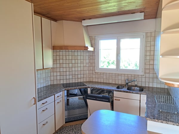 Einfamilienhaus 1.5 Zi mit fantastischer Aussicht und schönem Garten 7