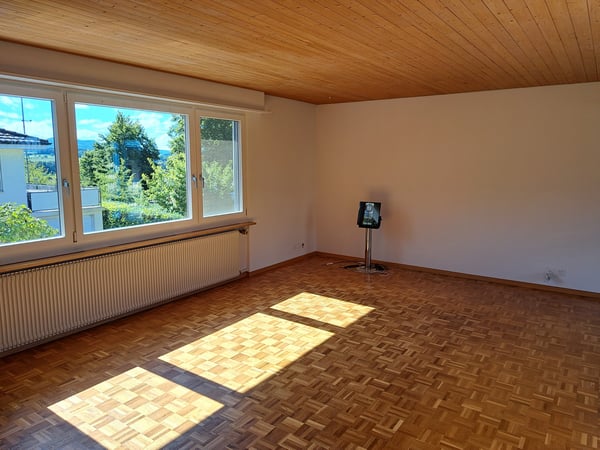 Einfamilienhaus 1.5 Zi mit fantastischer Aussicht und schönem Garten 4
