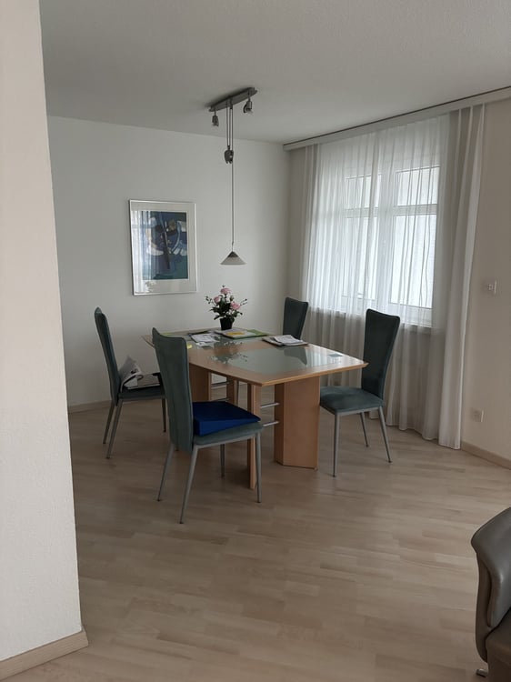 Moderne Wohnung mit grossem Sitzplatz 2