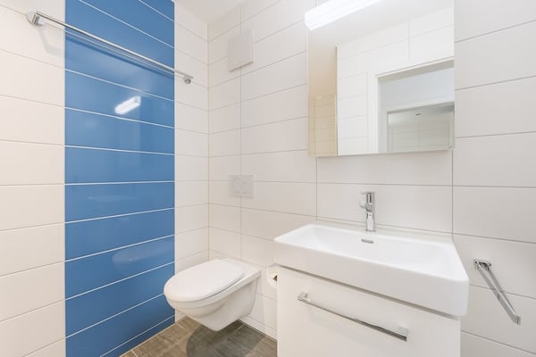 Traumwohnung im Berner Oberland 5