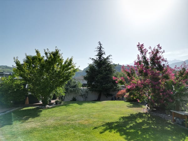 Unique villa jumelle rénovée 2.5 pièces de 375m2 à Conthey 13