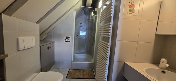Villa de Maître 8.5 pièces de 712m2 au coeur de Sion 11