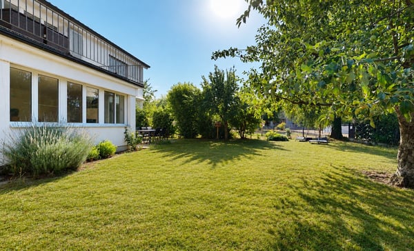 Aperçu de l'image de l'immobilier