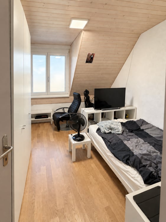 Viu Liecht, zwöi Baukön und dr Blick is Grüene 8