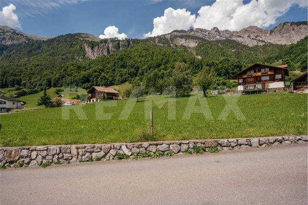 Fantastische Baulandparzelle mit Seesicht an absolut ruhiger Lage in Brienz 7