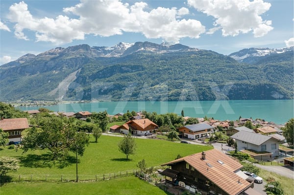 Fantastische Baulandparzelle mit Seesicht an absolut ruhiger Lage in Brienz 6