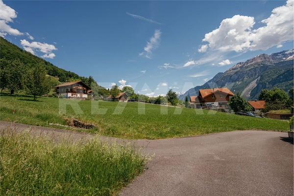 Fantastische Baulandparzelle mit Seesicht an absolut ruhiger Lage in Brienz 9