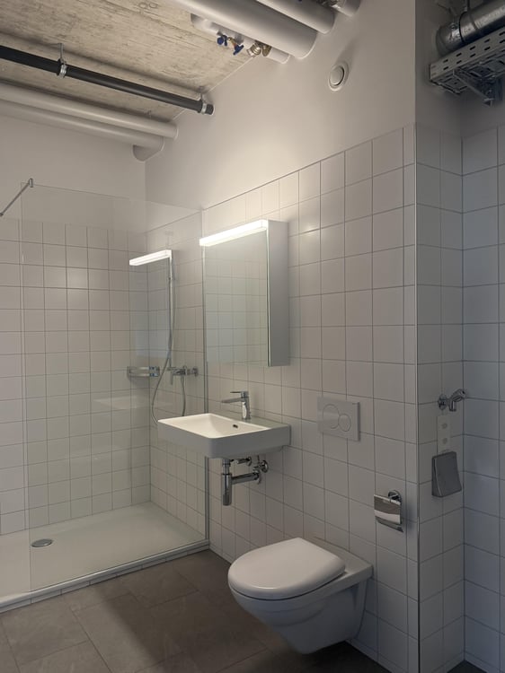 Attraktives Atelier (120m2) in Rorschach 6