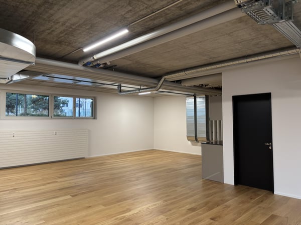 Attraktives Atelier (120m2) in Rorschach 3
