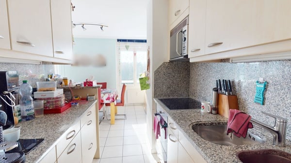 Grosszügige 1.5 Zimmer Wohnung mit Aussicht 4