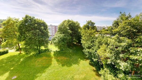 5.5-ZIMMER-WOHNUNG MIT AUSSICHT INS GRÜNE 11