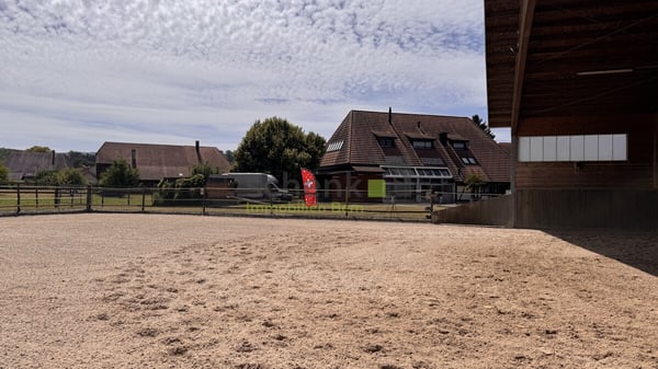 Sehr grosszügiges Haus für Pferdeliebhaber 7