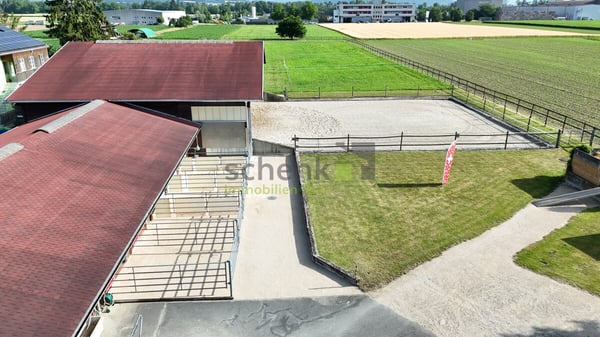 Sehr grosszügiges Haus für Pferdeliebhaber 4
