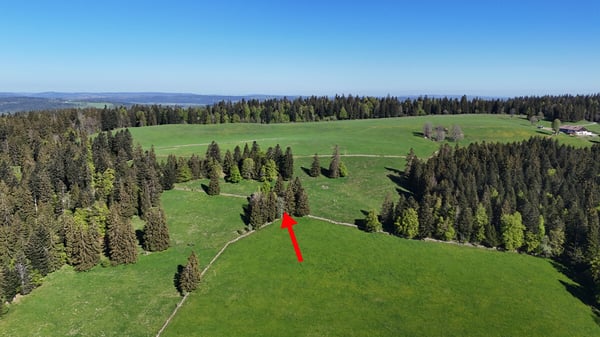 Einfaches Ferienhaus an herrlich idyllischer Lage 3