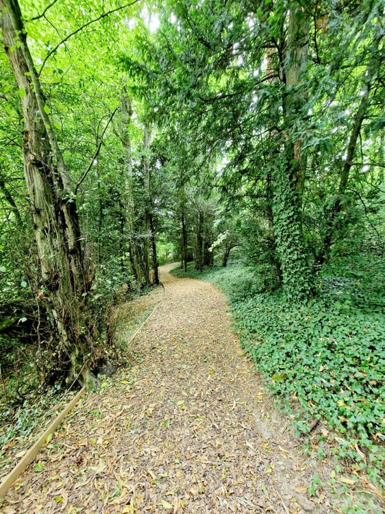 Fabuleux appartement en terrasse et jardin, piscine, fitness et tennis 12