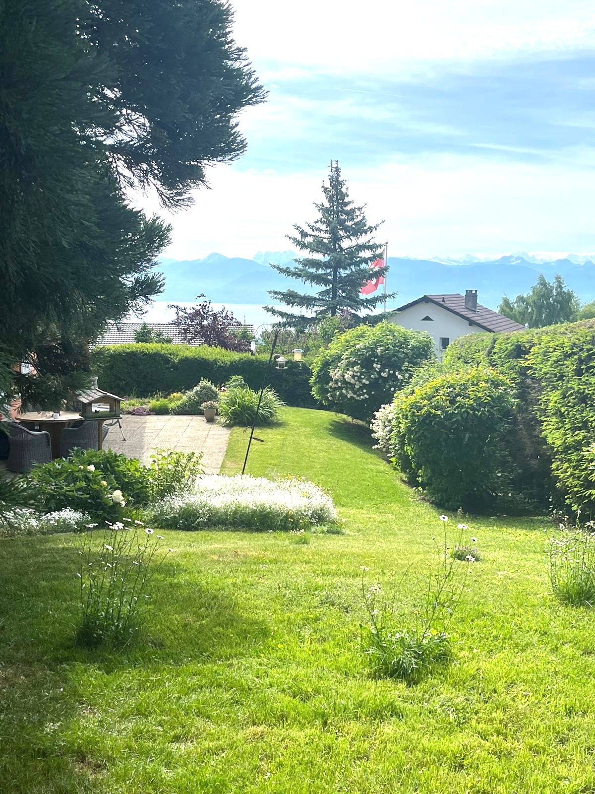 well-maintained garden with various plants, a table and chairs, a flag, and a house in the background