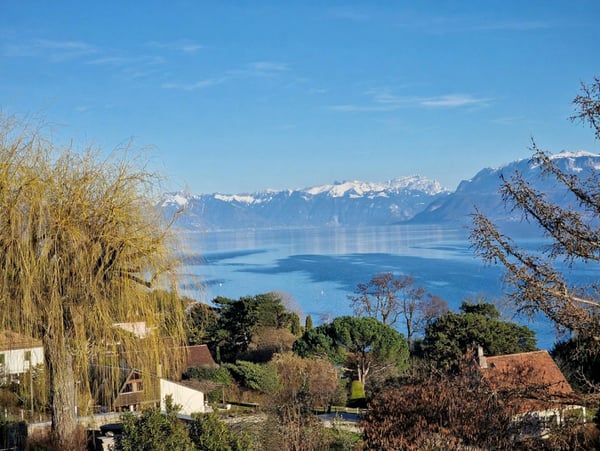En exclusivité, Abby Bryand immobilier : Magnifique maison vue lac à Buchillon 2