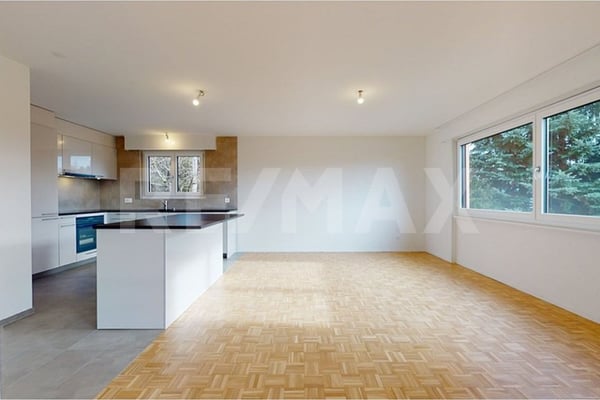 Spacieux & Lumineux 1.5 pièces avec cheminée entièrement rénové 6