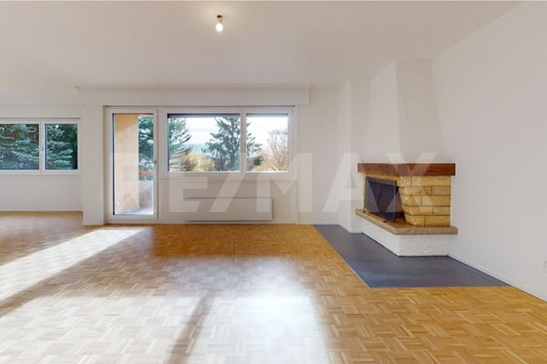 Spacieux & Lumineux 1.5 pièces avec cheminée entièrement rénové 2