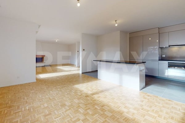 Spacieux & Lumineux 1.5 pièces avec cheminée entièrement rénové 3