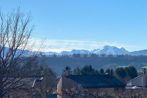 Spacieux & Lumineux 1.5 pièces avec cheminée entièrement rénové 1