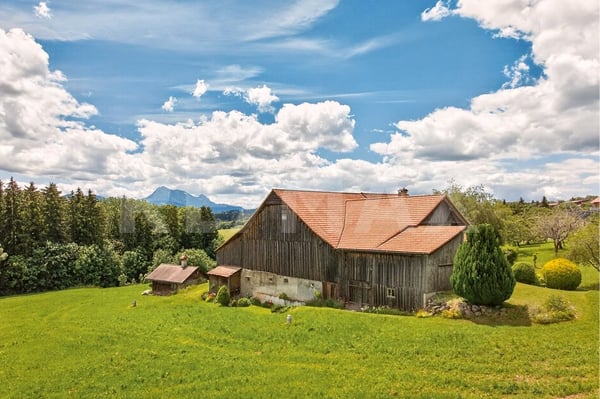 Une ferme de caractère et bien plus encore 8