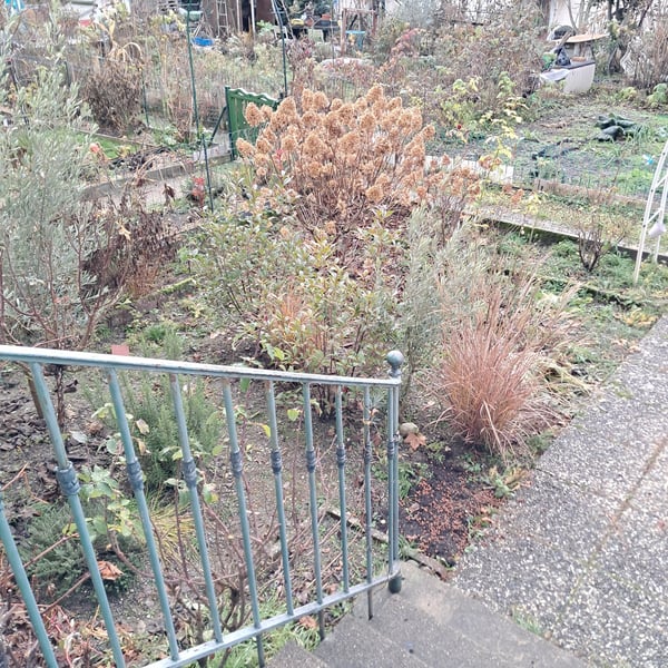 Bel appartement de 1.5 pièces à la Route Aloys-Fauquez 49 2