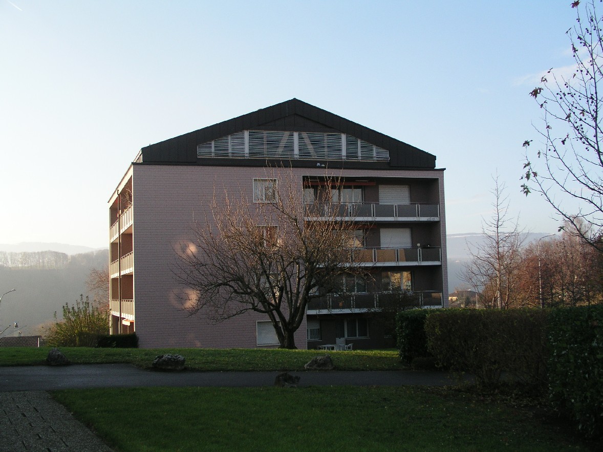 Apartment building, multiple floors, brick walls, black roofing, several balconies, large tree in front, green lawn