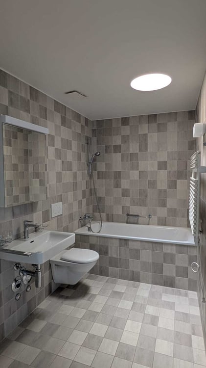Appartement spacieux en attique de 1.5 pièces 5