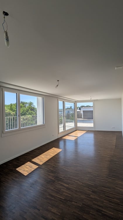 Lumineux appartement de 1 pièces avec balcon vue lac et montagnes 2