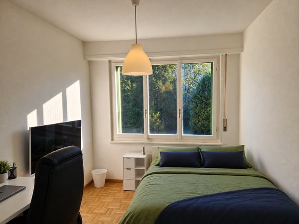 Appartement de 4.5 pièces avec vue 3